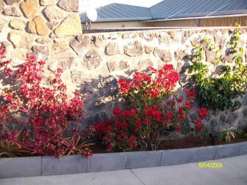 Les Nymphes De Bourbon Bed and Breakfast Saint Pierre Exteriör bild